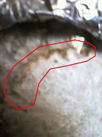 SP_A0250.jpg