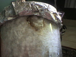 SP_A0251.jpg