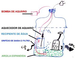Terrário.jpg