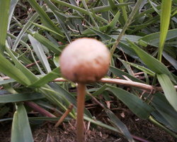 Foto-0011.jpg