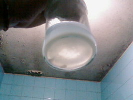 Foto_A0714.jpg