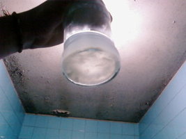 Foto_A0715.jpg
