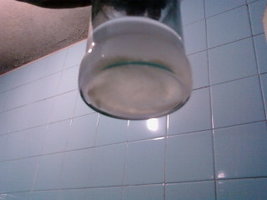 Foto_A0716.jpg