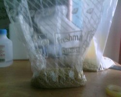 IMG0105A.jpg