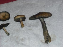 357.jpg