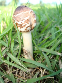 DSC02991.JPG