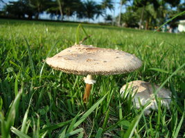 DSC02996.JPG