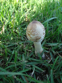 DSC02999.JPG