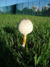 DSC03000.JPG