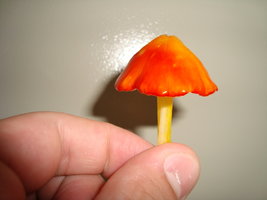DSC03010.JPG