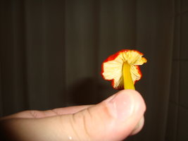 DSC03013.JPG