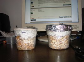 DSC05502.JPG