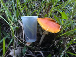 DSC00291.JPG DSC00291.JPG