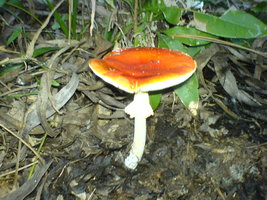 DSC00313.JPG DSC00313.JPG
