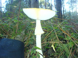 DSC00305.JPG