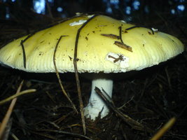 DSC00299.JPG