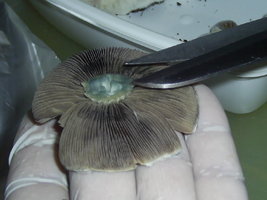KSSS 67.JPG