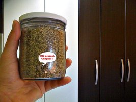 Pimeiro sinal de micélio Selvagem.jpg