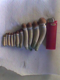 Imag0010.jpg