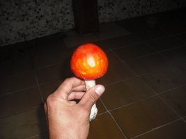 DSCF2957.JPG