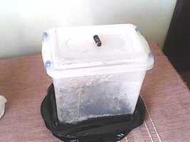 IMG0201A.jpg