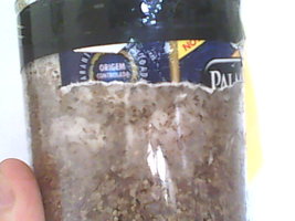 IMG0195A.jpg