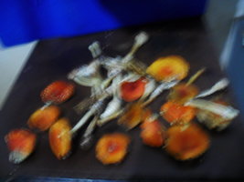 SDC11724.JPG
