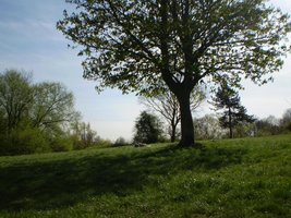P1010010.JPG