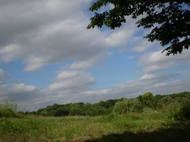 P1060027.JPG