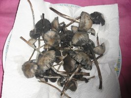 DSCF3051.JPG