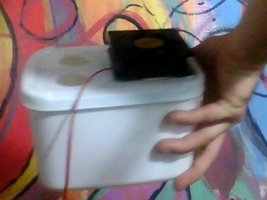 Snapshot_20100725_2.jpg