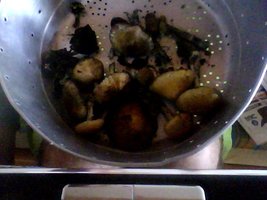 Snapshot_20100725.jpg
