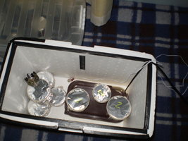 P1010052.JPG