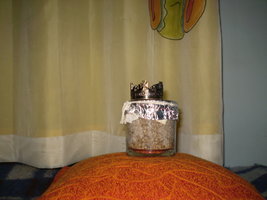 P1010083.JPG