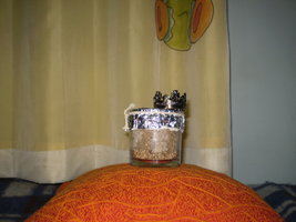 P1010072.JPG