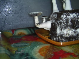 KSSS 108.JPG
