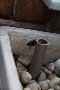 IMG_4675.jpg