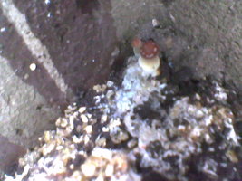 Imag010.jpg