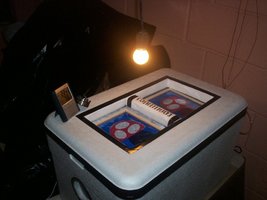 000_3308.jpg
