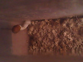 IMG0563A.jpg