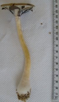 S6300993.JPG