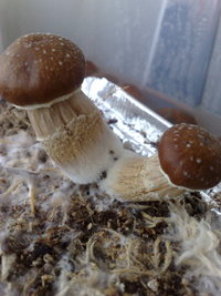 20082010484.jpg