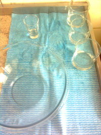 Imagem0325.jpg