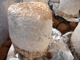 DSCN1804.JPG