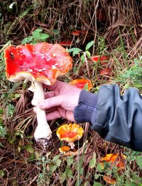 DSC01746.JPG