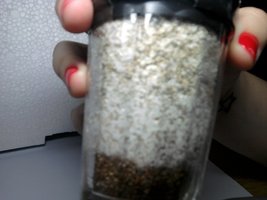 Foto0134.jpg