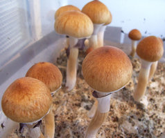 14 - 09 - 2010_1818.jpg