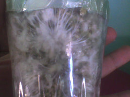 Imag008.jpg