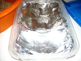 Fotos 009.JPG
