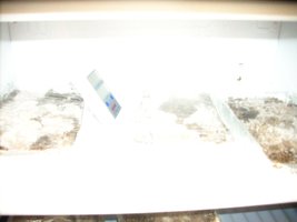 fotos 001.JPG